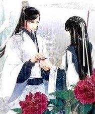 名马美人